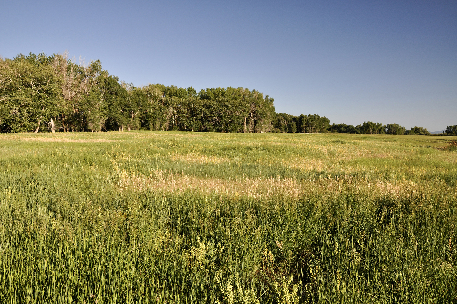 Three Peaks Ranch property picture 5 of 38