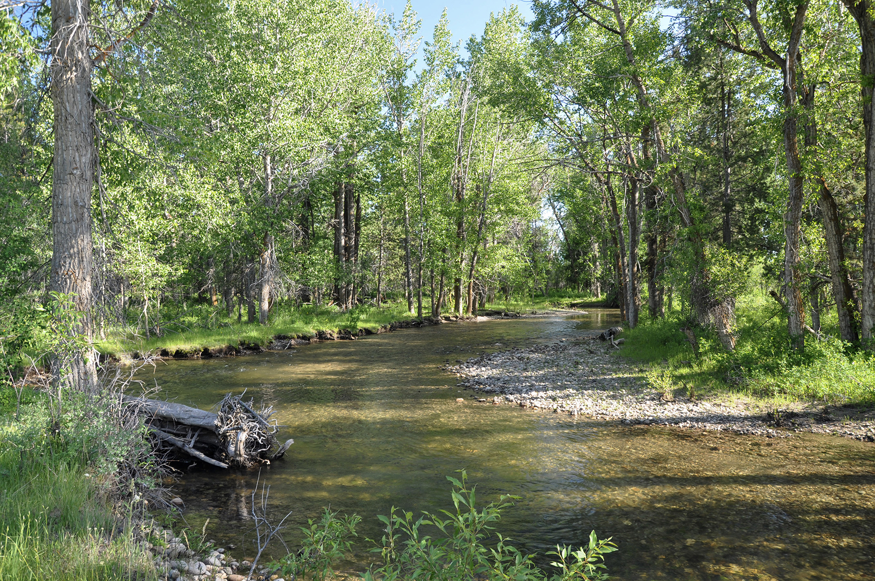 Three Peaks Ranch property picture 16 of 38