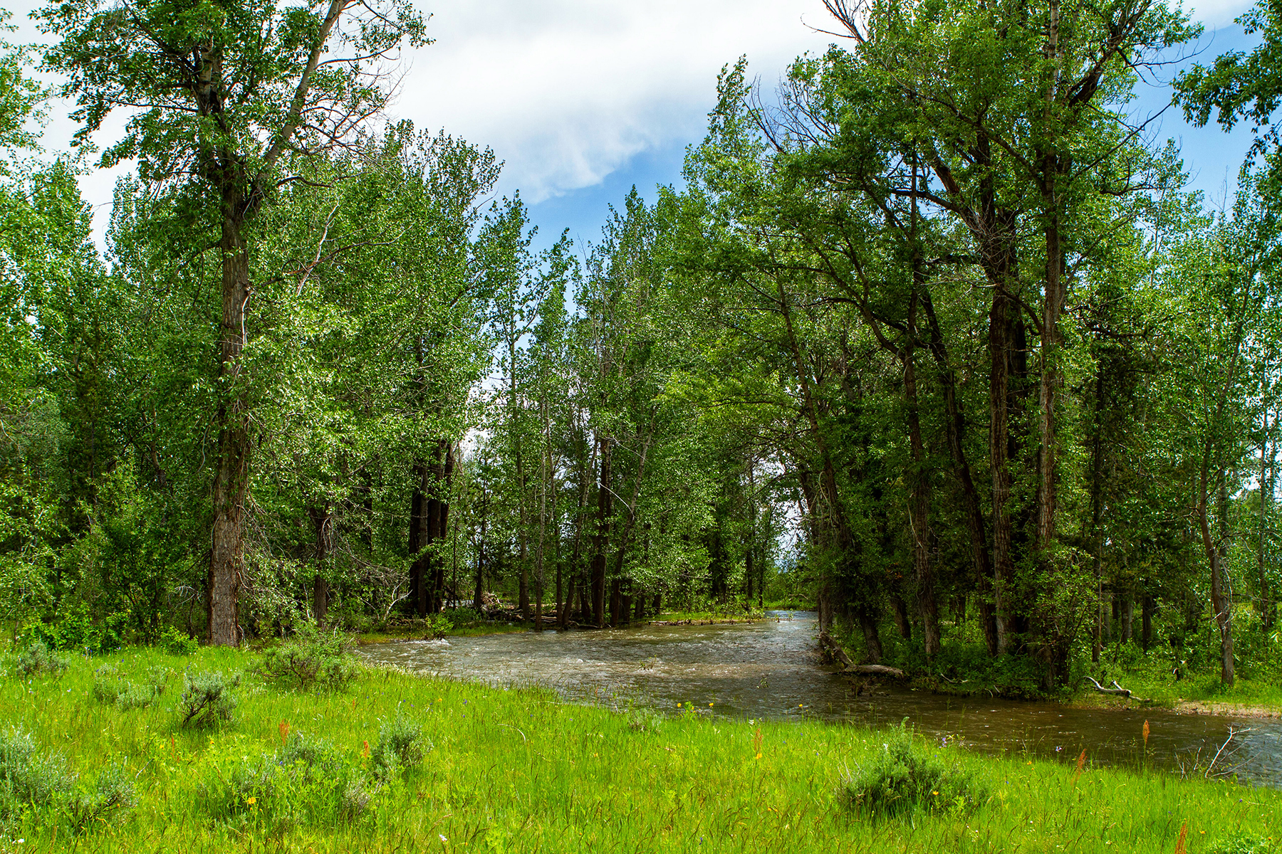 Three Peaks Ranch property picture 21 of 38