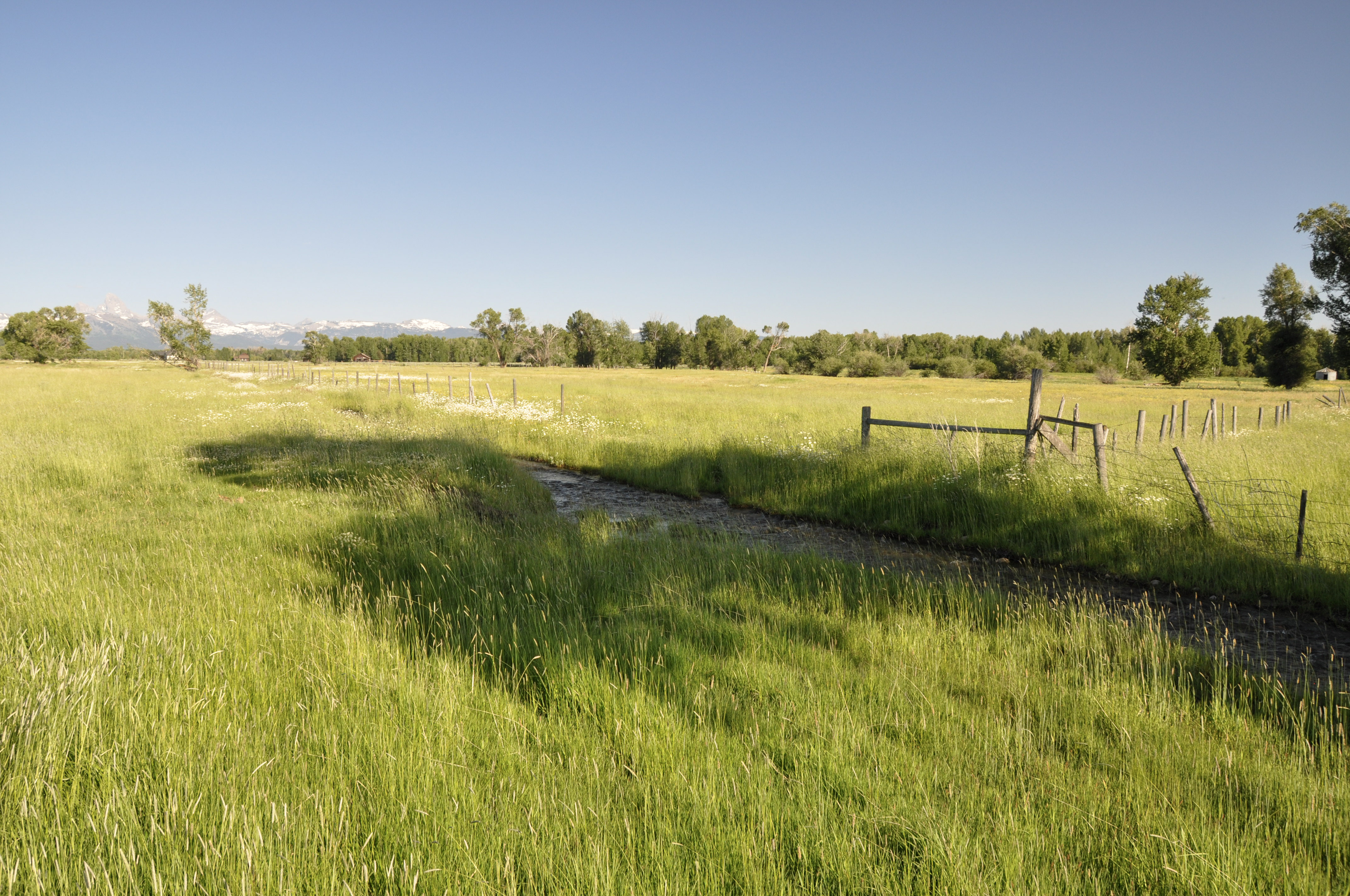 Three Peaks Ranch property picture 27 of 38