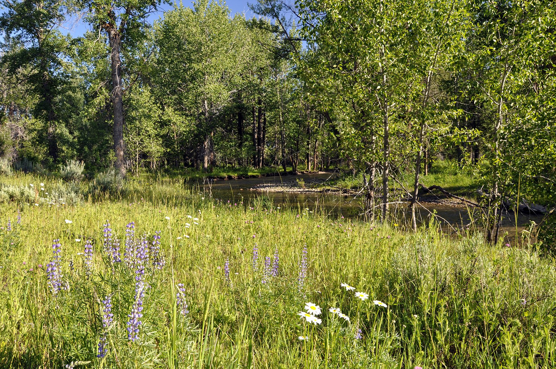 Three Peaks Ranch property picture 14 of 38