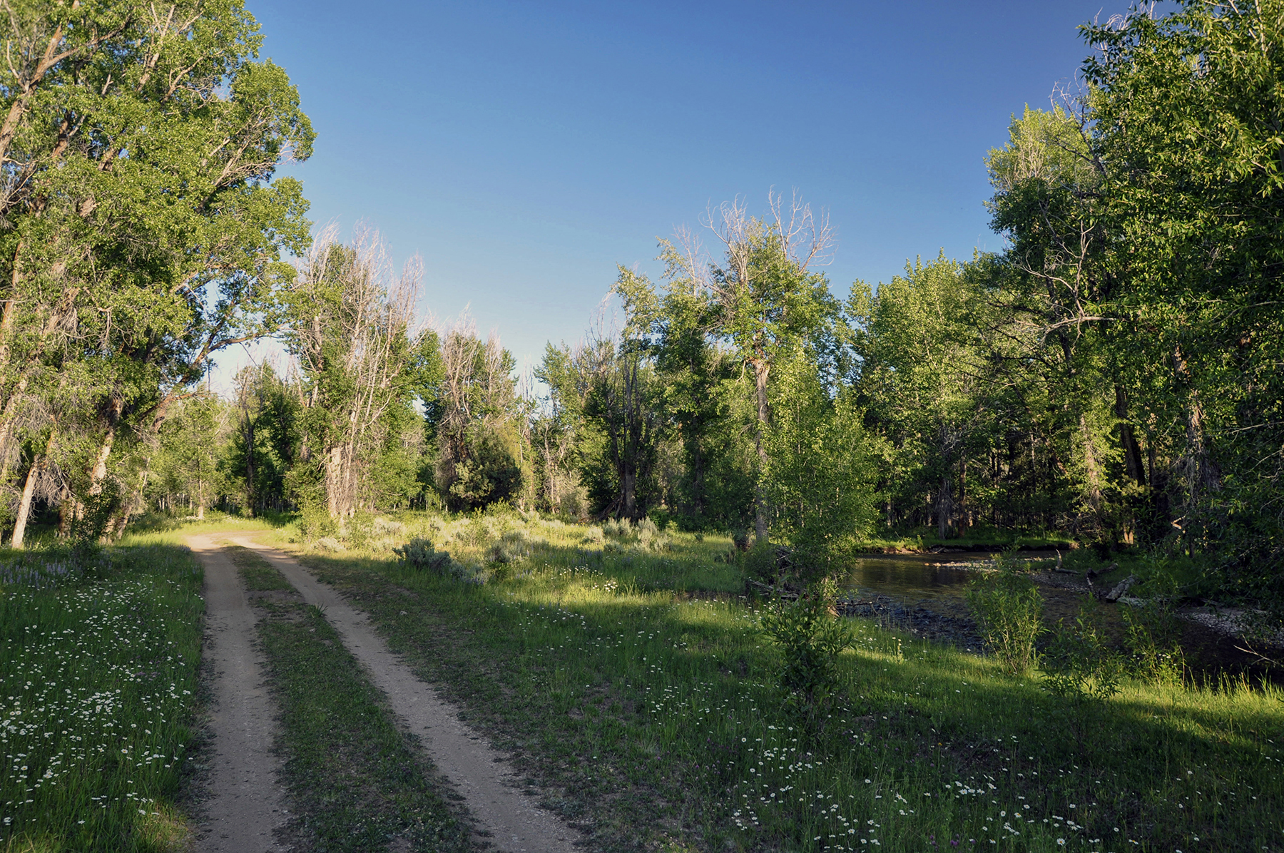 Three Peaks Ranch property picture 11 of 38