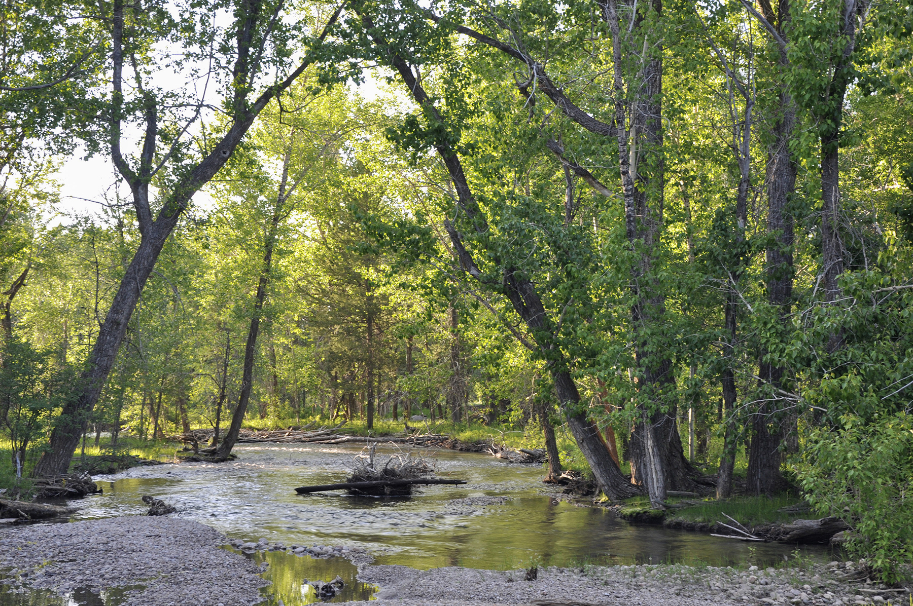 Three Peaks Ranch property picture 36 of 38
