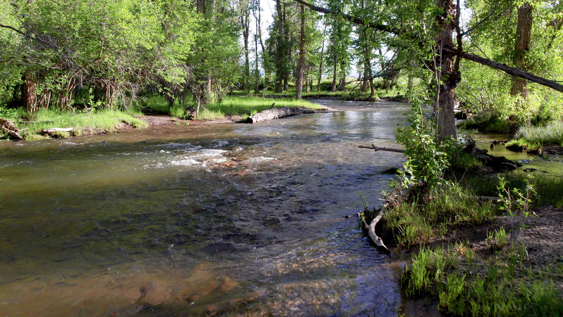 Three Peaks Ranch property picture 2 of 38