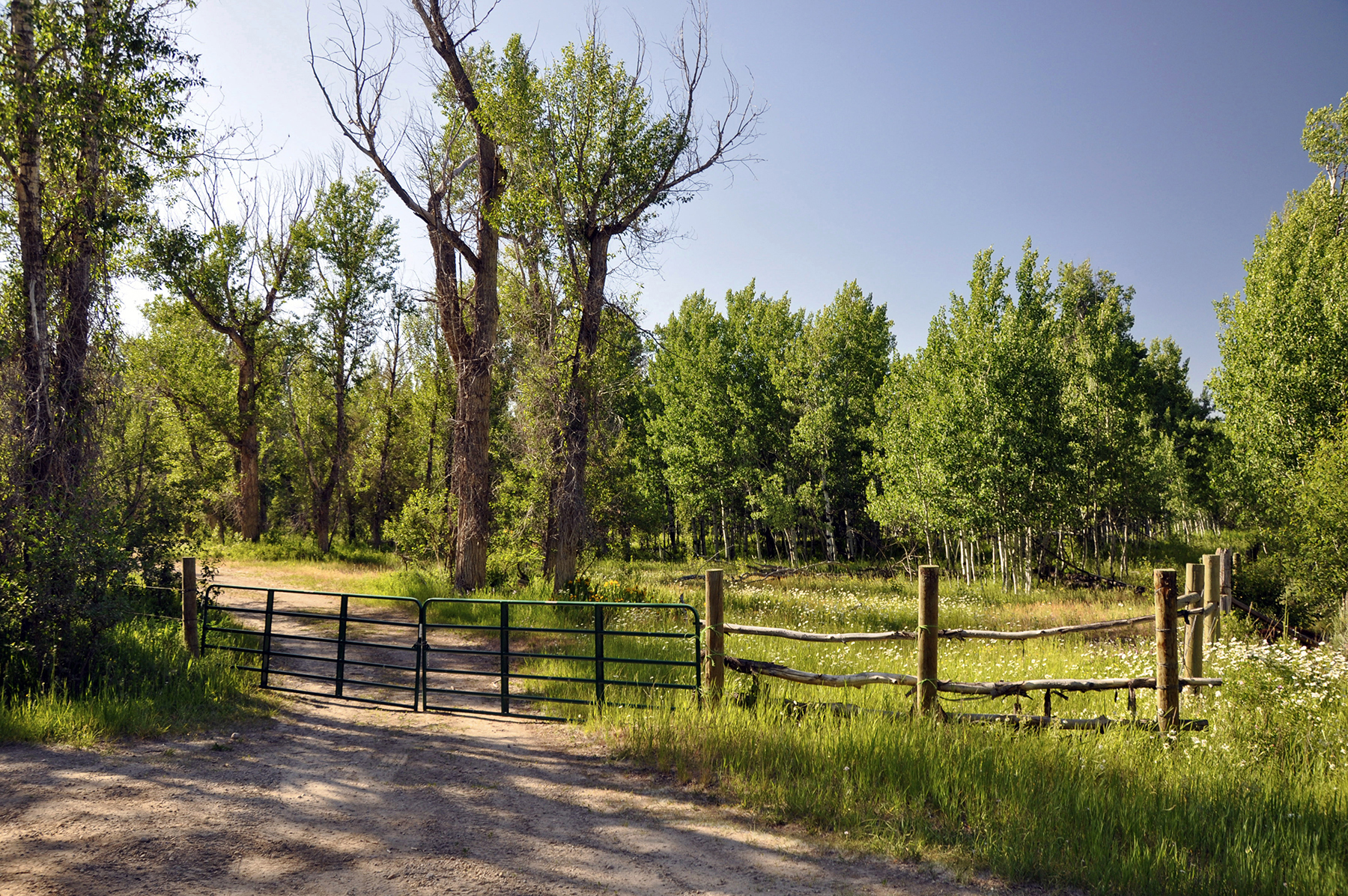 Three Peaks Ranch property picture 10 of 38