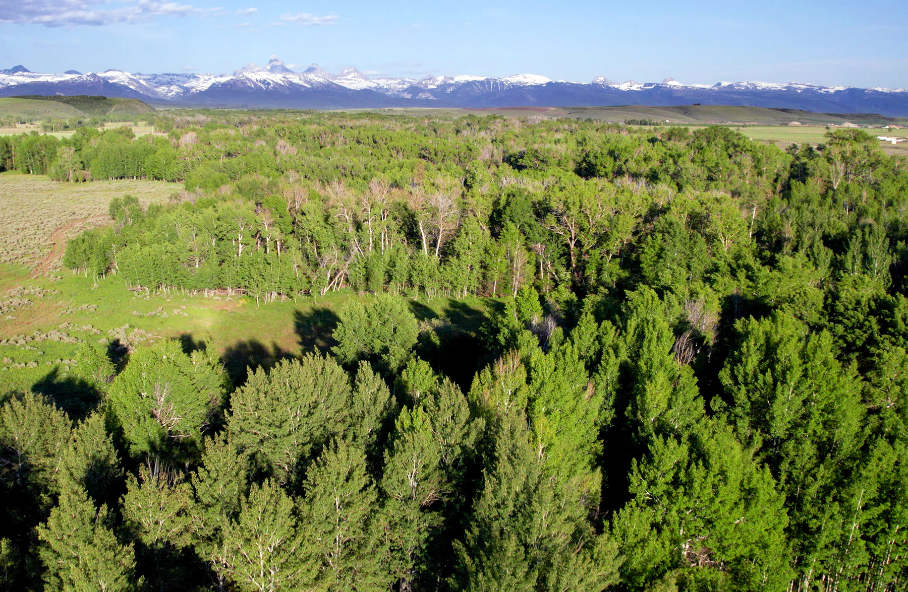 Three Peaks Ranch property picture 18 of 38