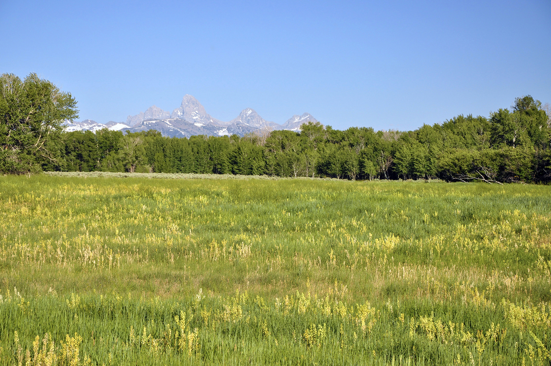 Three Peaks Ranch property picture 6 of 38