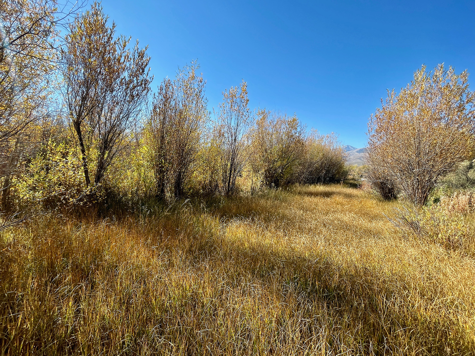 Big Lost River Retreat property picture 61 of 87