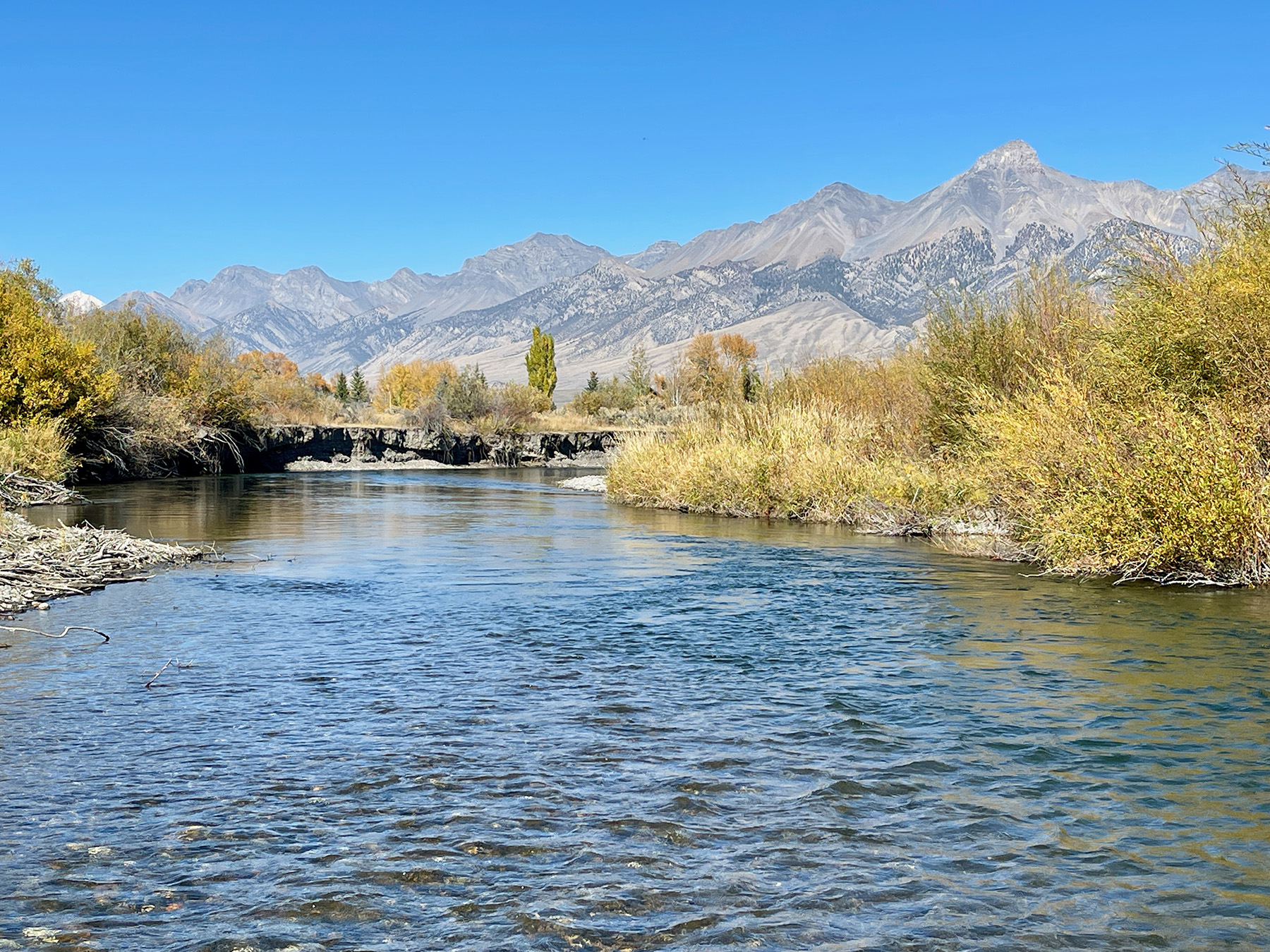 Big Lost River Retreat property picture 28 of 87