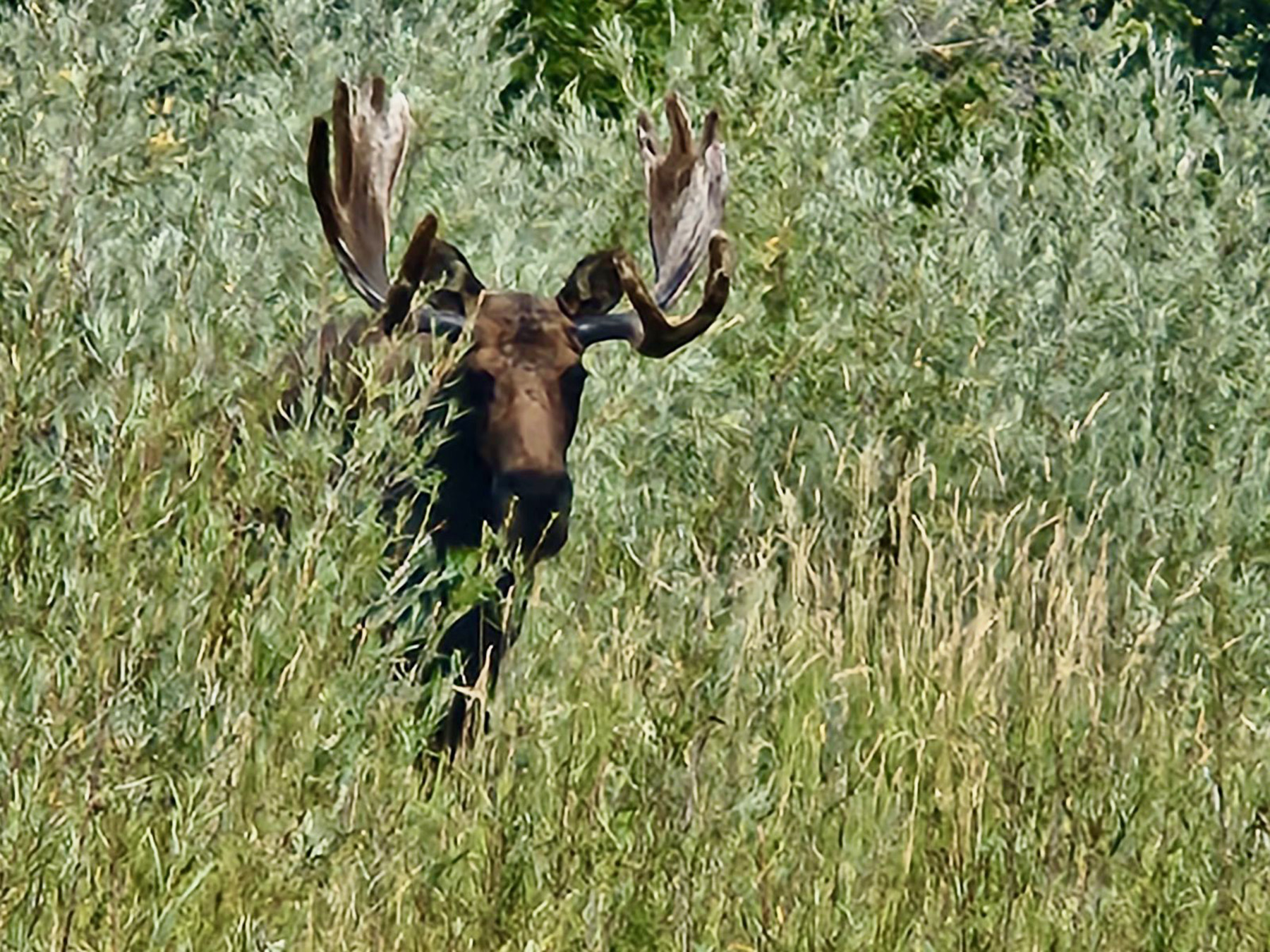 Big Lost River Retreat property picture 82 of 87