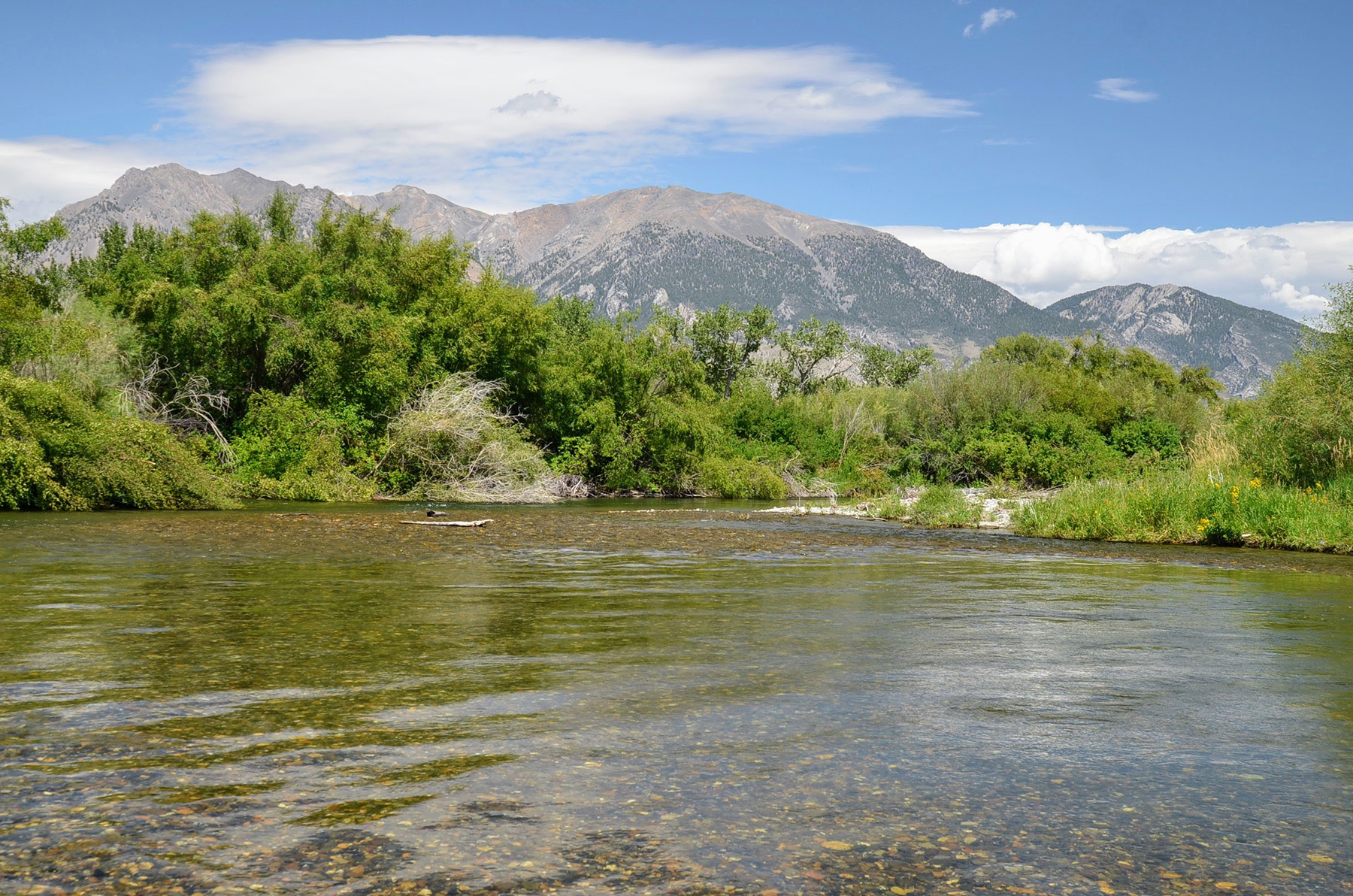 Big Lost River Retreat property picture 69 of 87