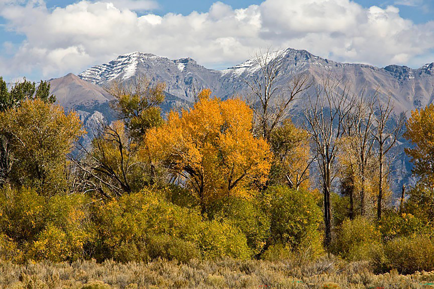 Big Lost River Retreat property picture 66 of 87