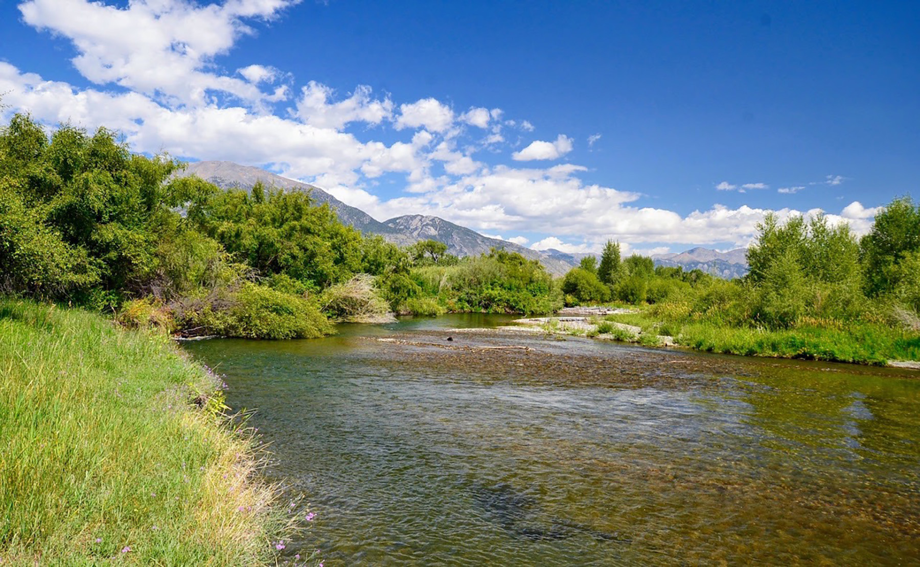 Big Lost River Retreat property picture 70 of 87