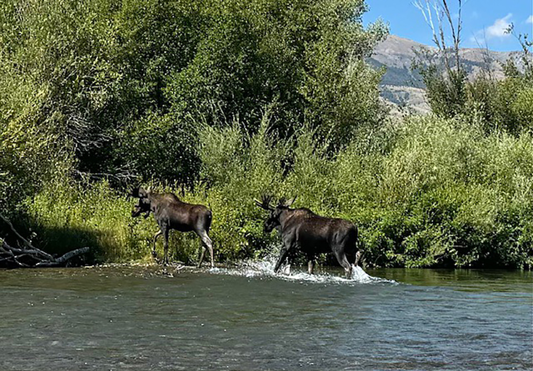 Big Lost River Retreat property picture 84 of 87