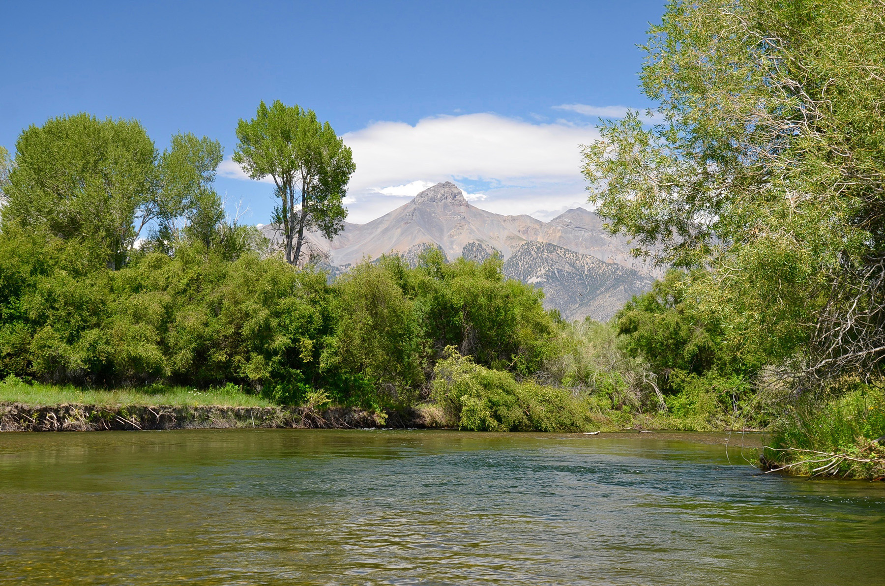 Big Lost River Retreat property picture 67 of 87