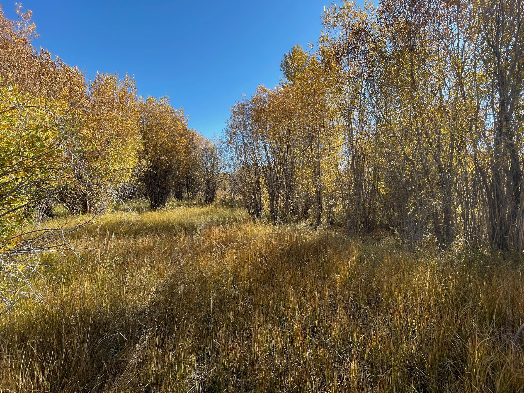 Big Lost River Retreat property picture 62 of 87