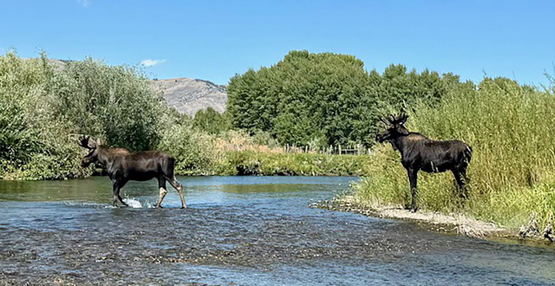 Big Lost River Retreat property picture 83 of 87