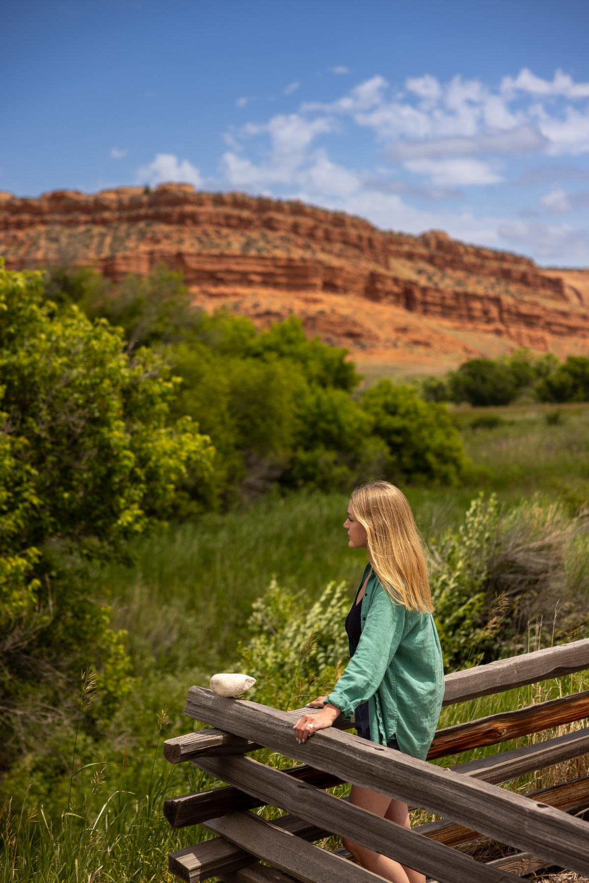 Lazy Frog Ranch property picture 3 of 70