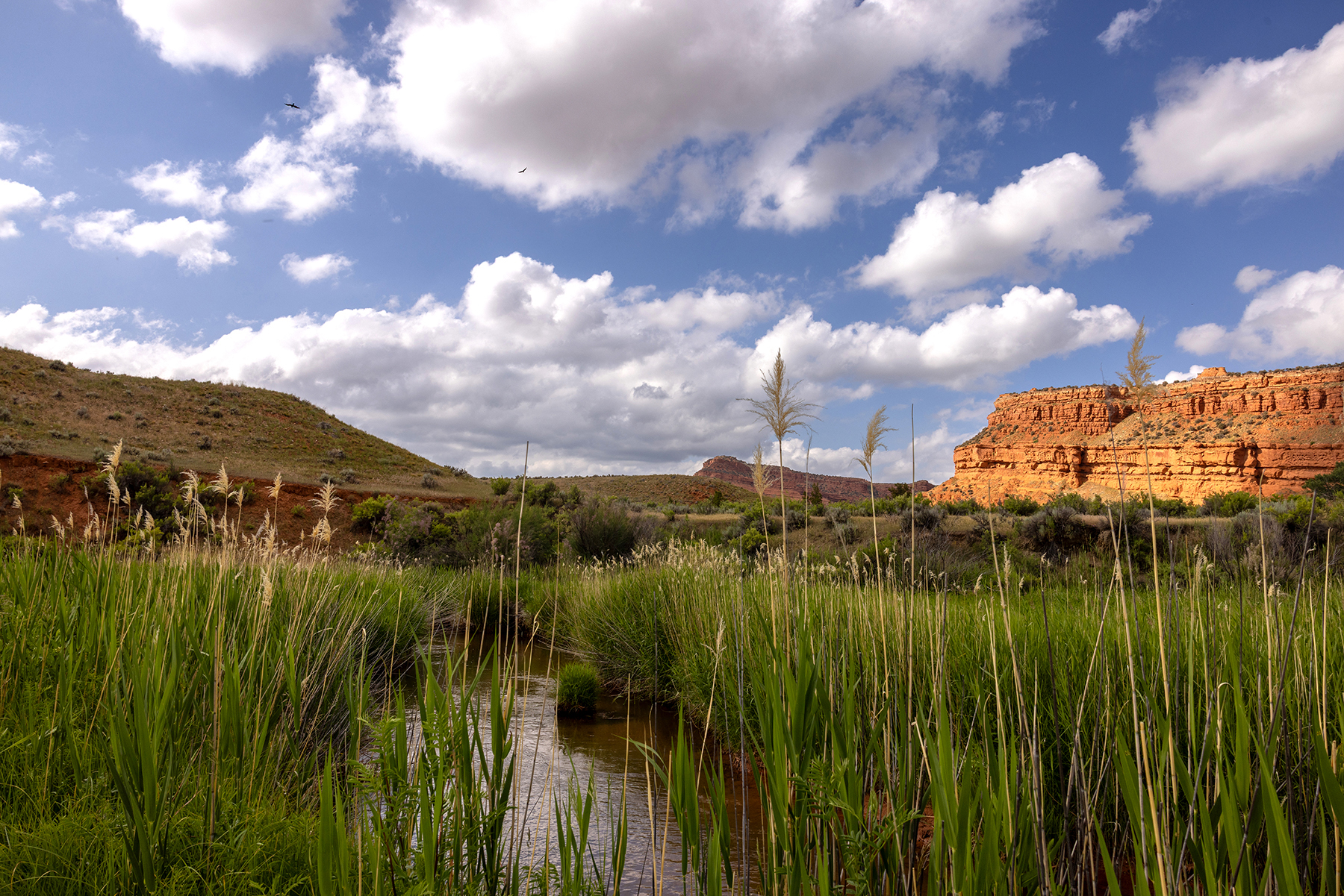 Lazy Frog Ranch property picture 61 of 70