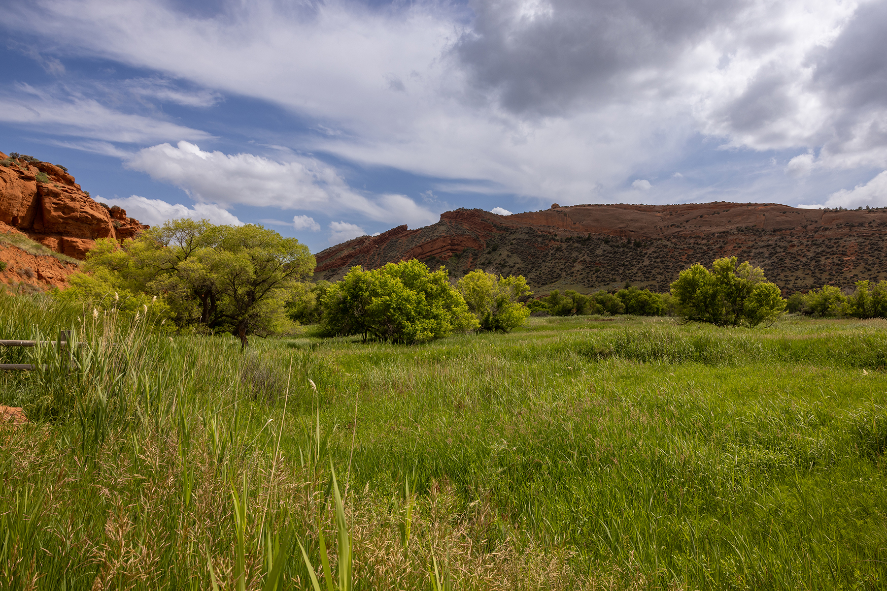 Lazy Frog Ranch property picture 10 of 70