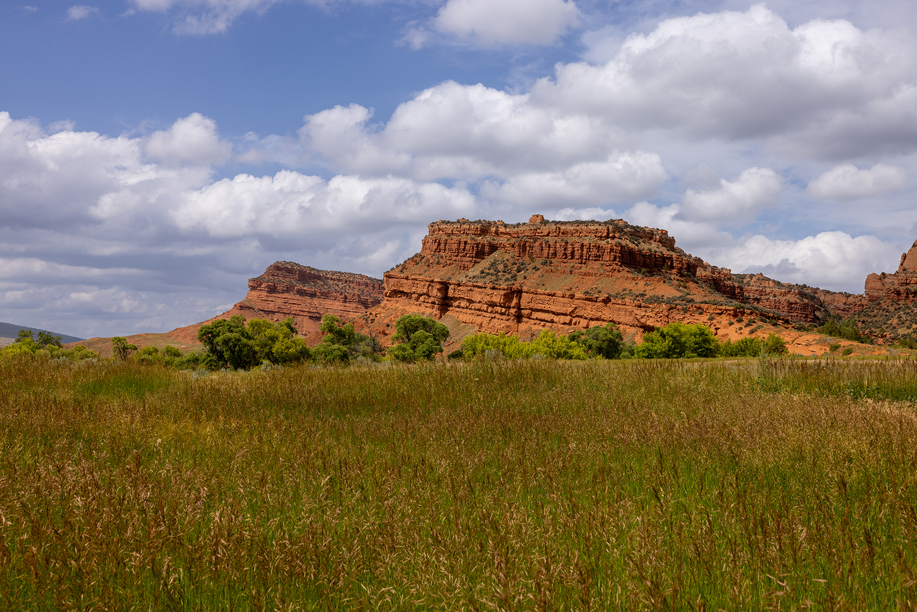 Lazy Frog Ranch property picture 12 of 70