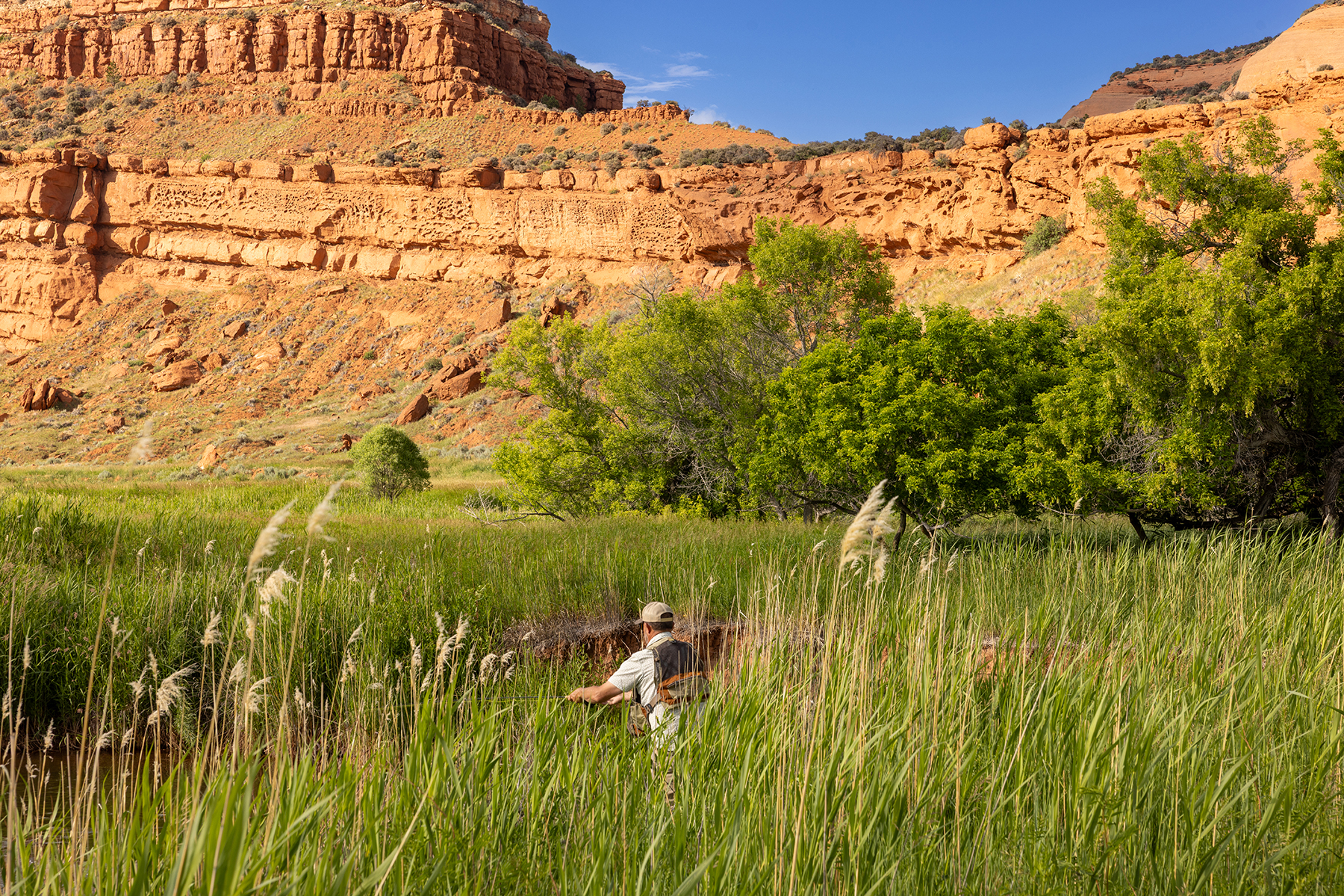 Lazy Frog Ranch property picture 64 of 70