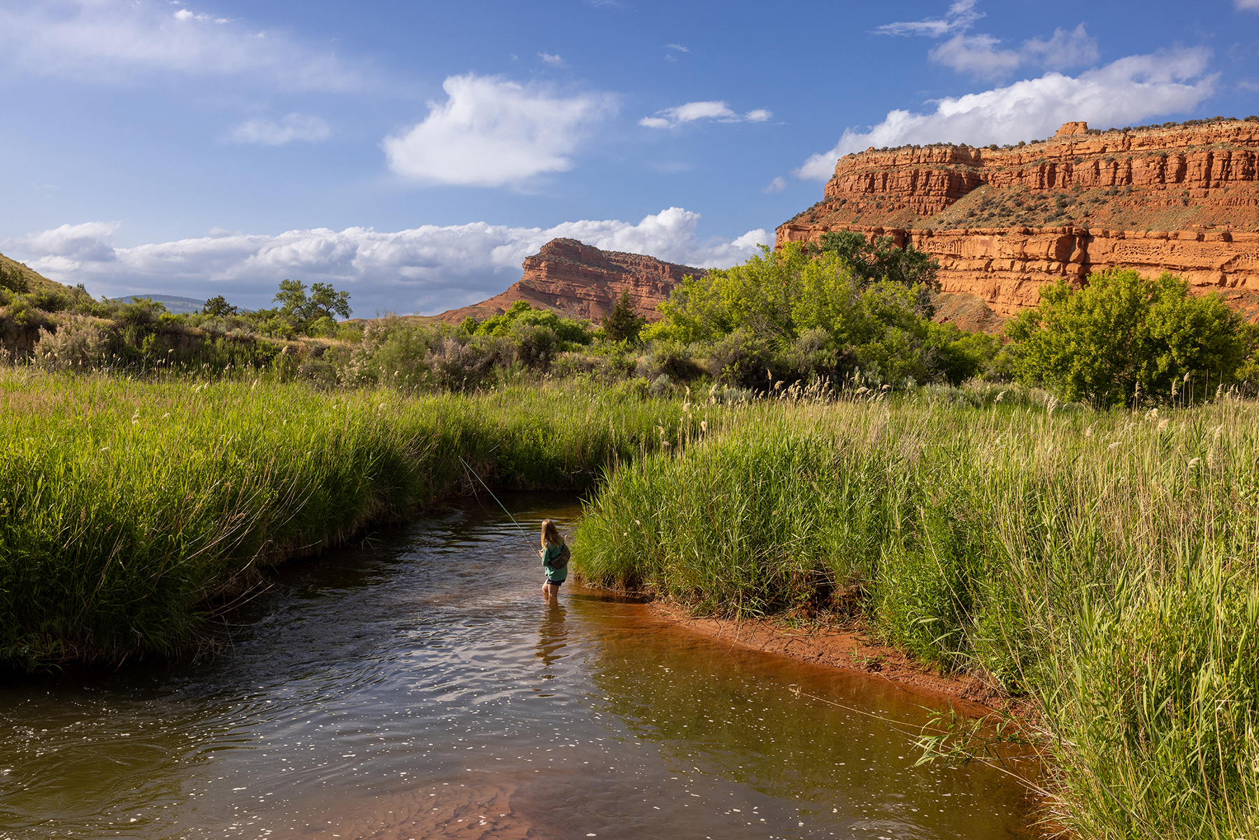 Lazy Frog Ranch property picture 62 of 70