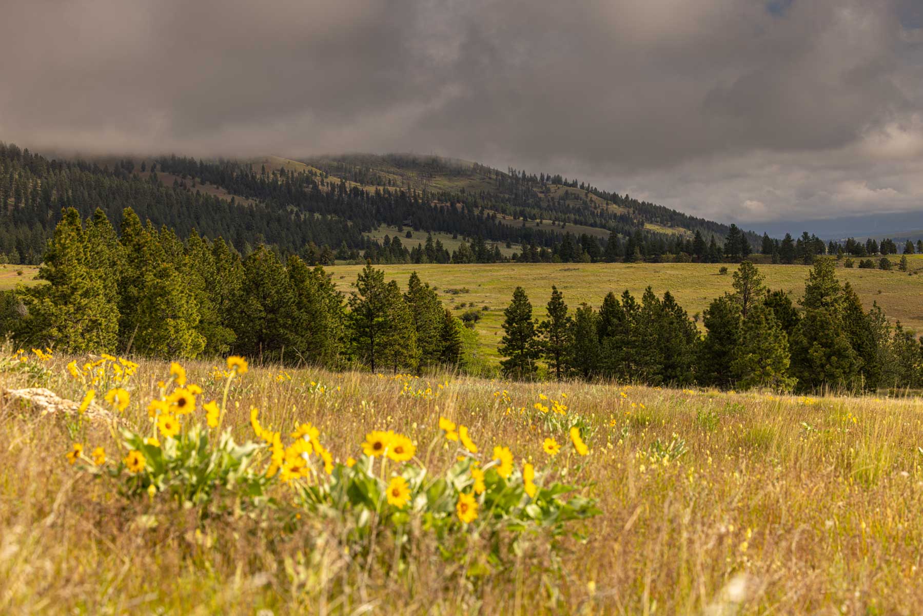 Lolo Ranch property picture 26 of 77