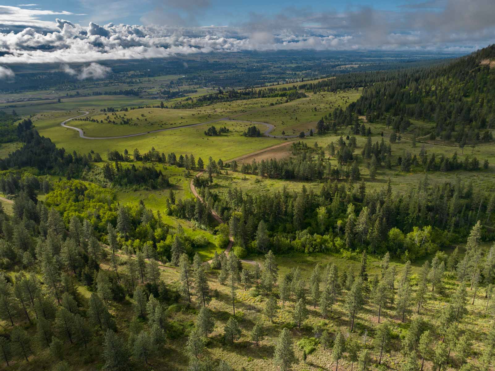 Lolo Ranch property picture 19 of 77