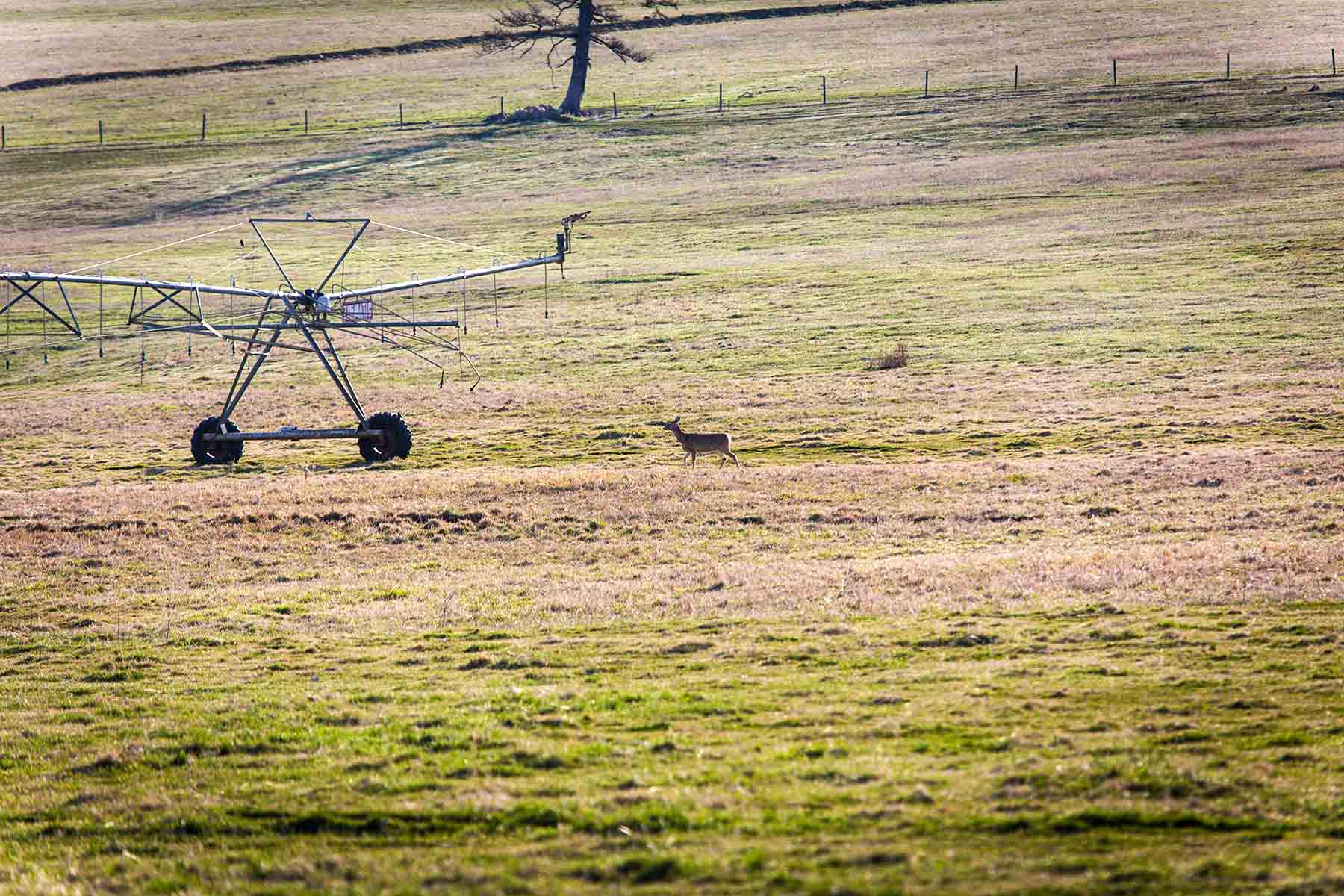 Lolo Ranch property picture 49 of 77