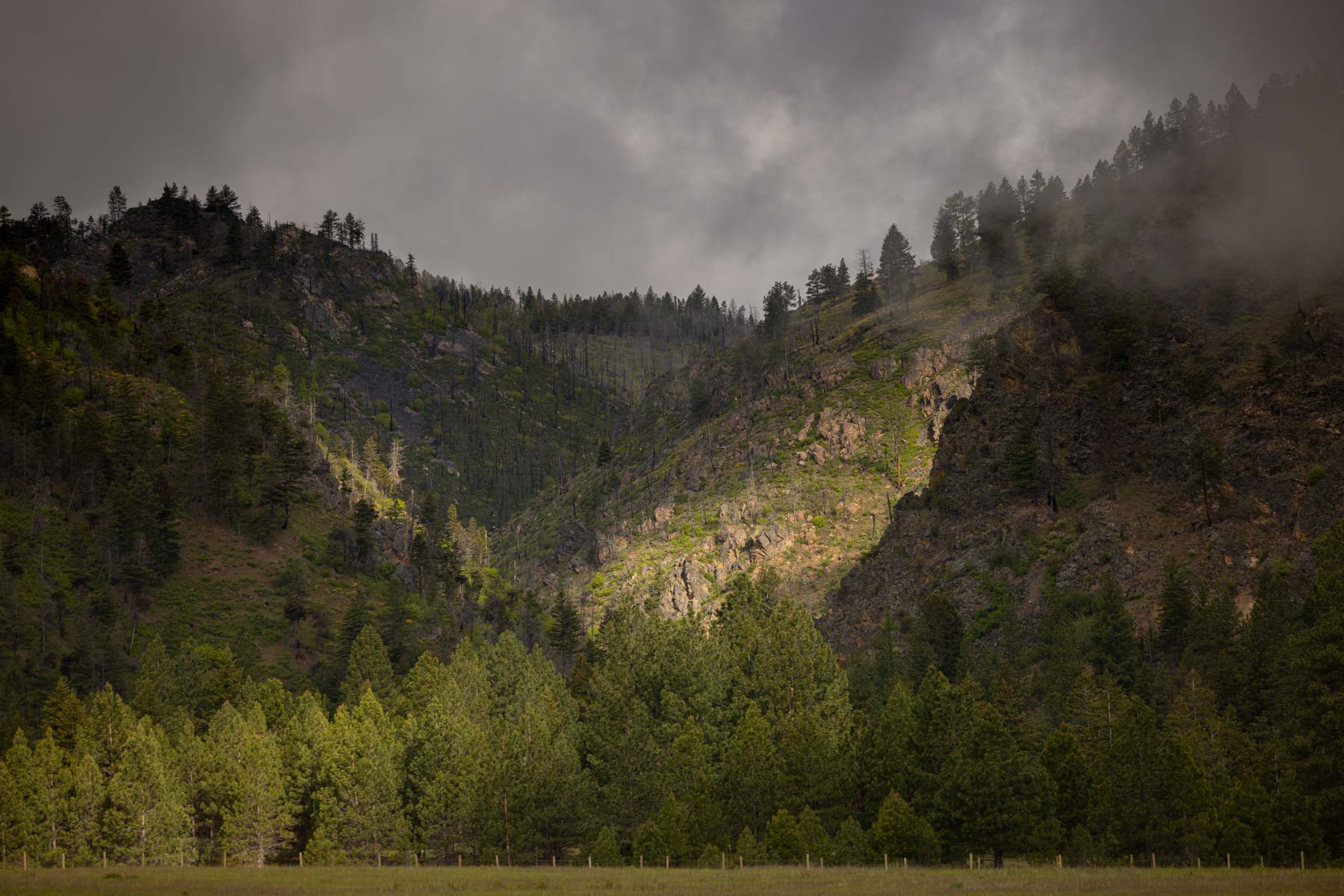 Lolo Ranch property picture 21 of 77