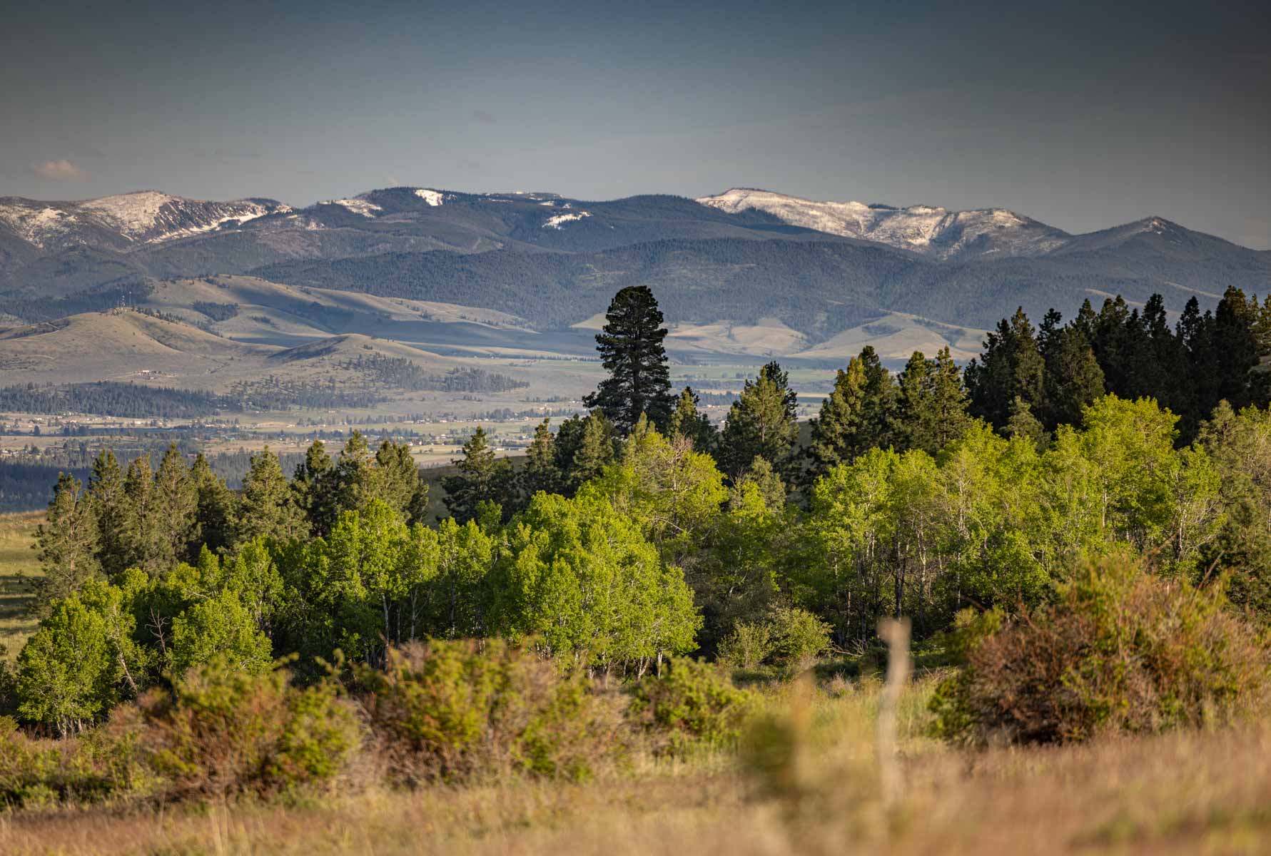 Lolo Ranch property picture 9 of 77