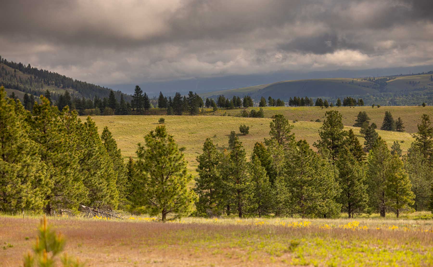 Lolo Ranch property picture 24 of 77