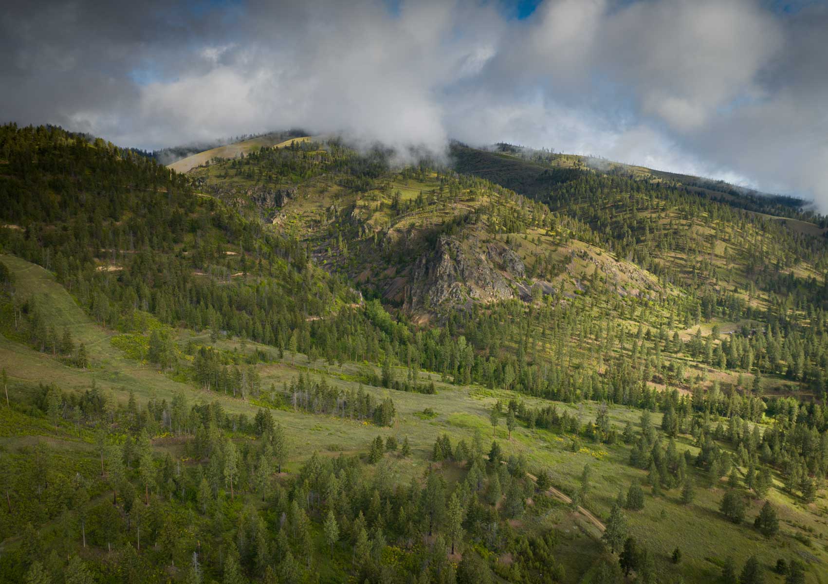 Lolo Ranch property picture 13 of 77