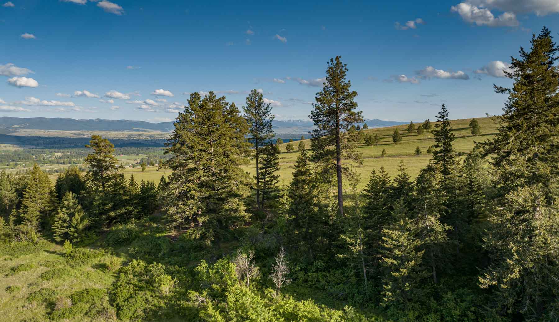 Lolo Ranch property picture 4 of 77