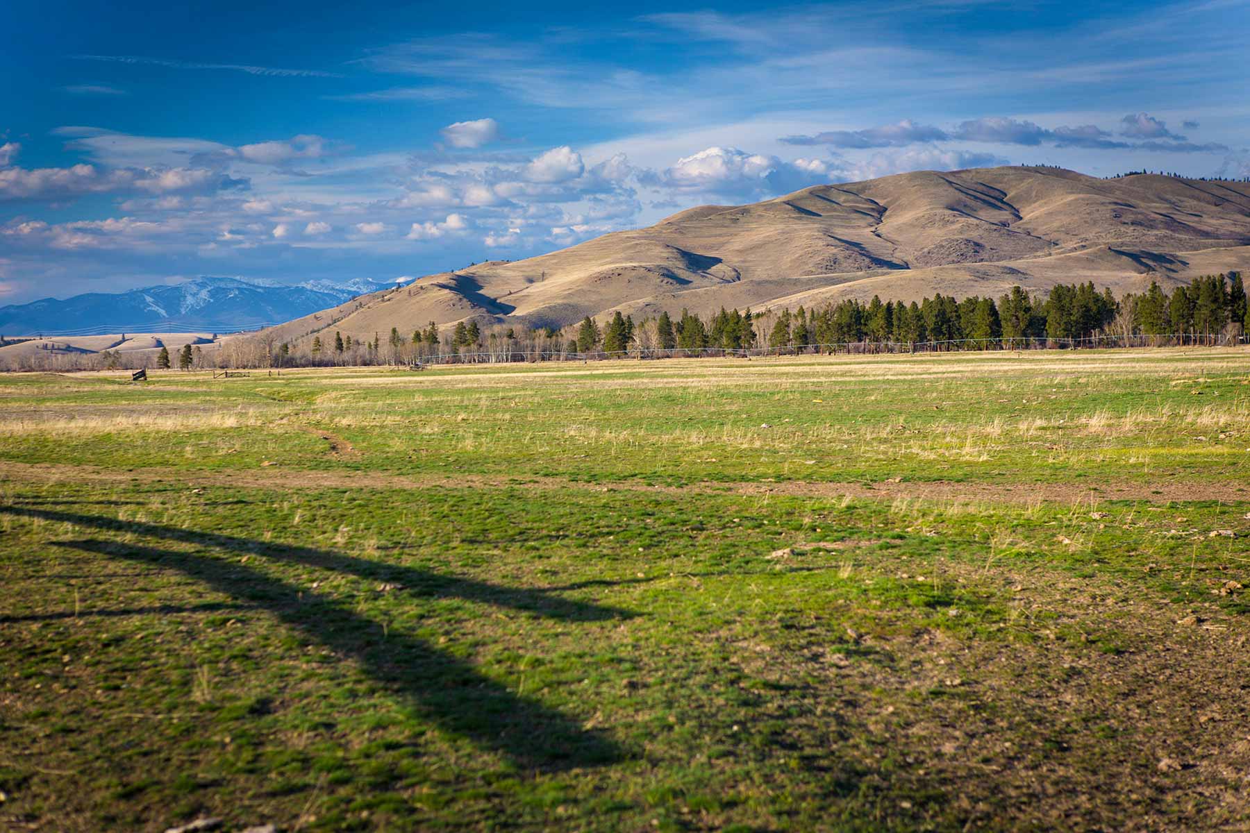 Lolo Ranch property picture 38 of 77