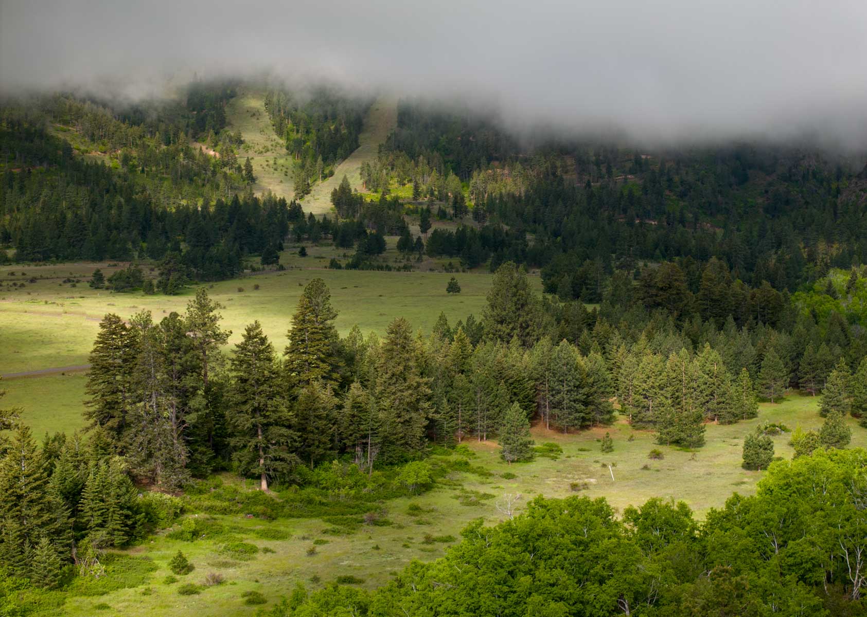 Lolo Ranch property picture 22 of 77