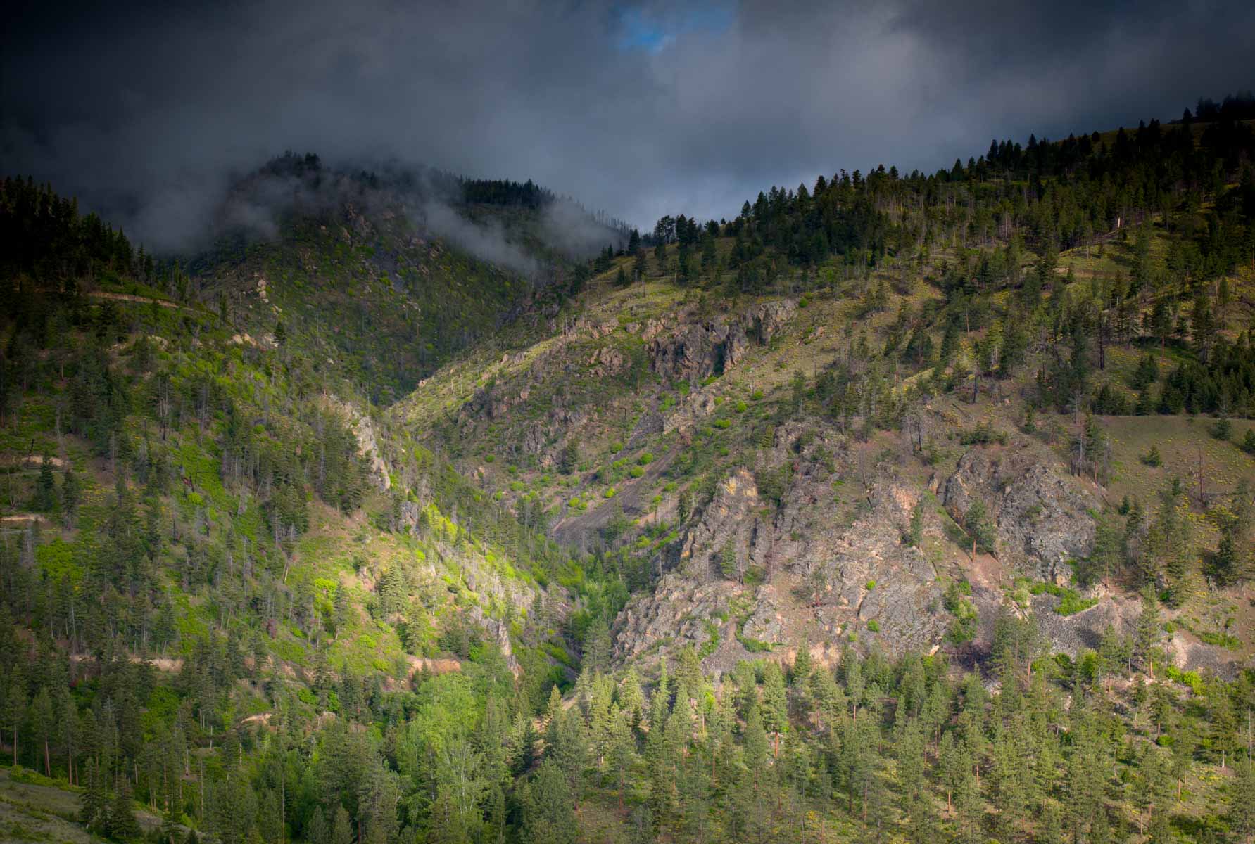 Lolo Ranch property picture 15 of 77