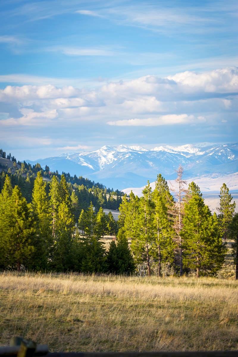 Lolo Ranch property picture 36 of 77
