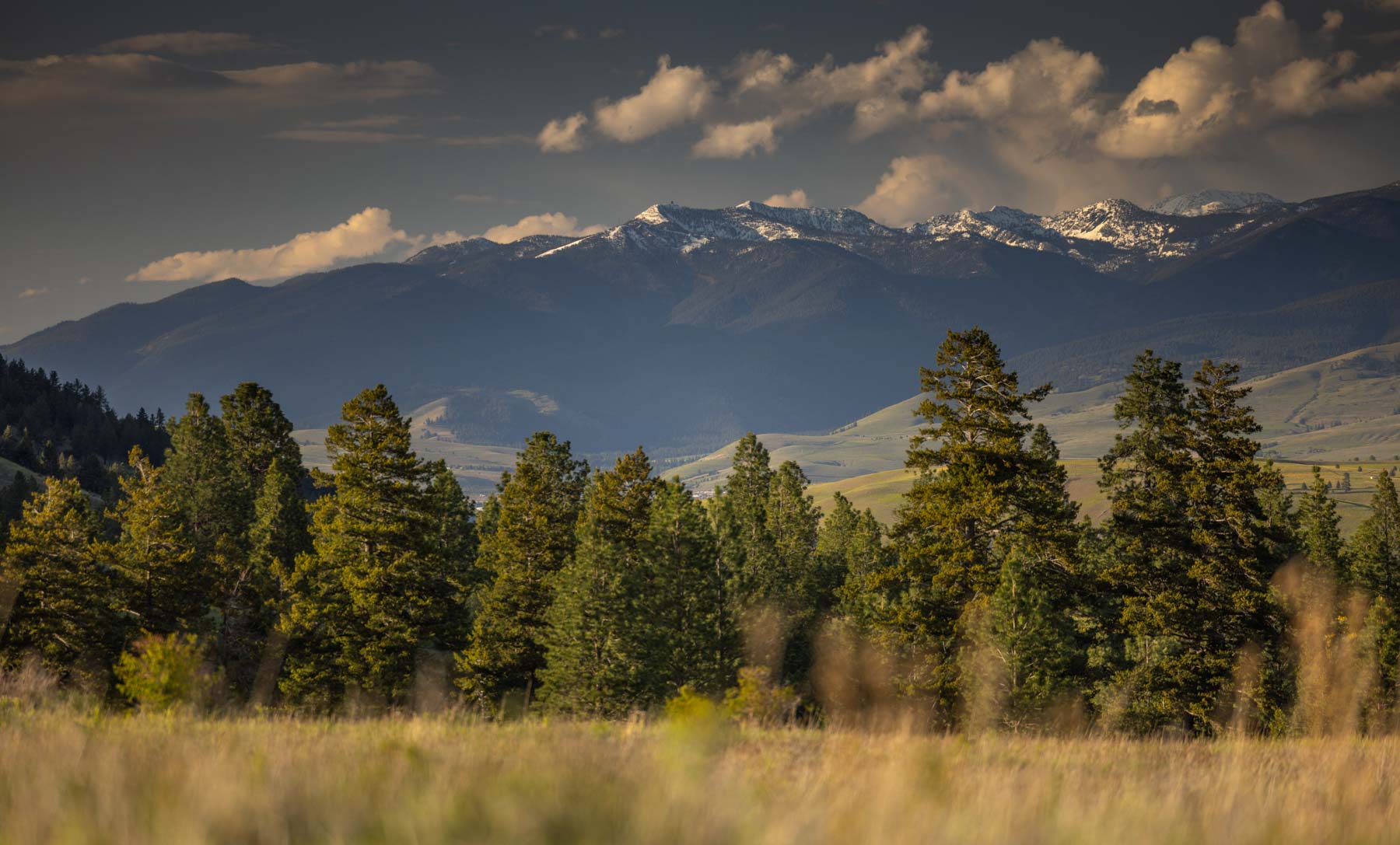 Lolo Ranch property picture 2 of 77