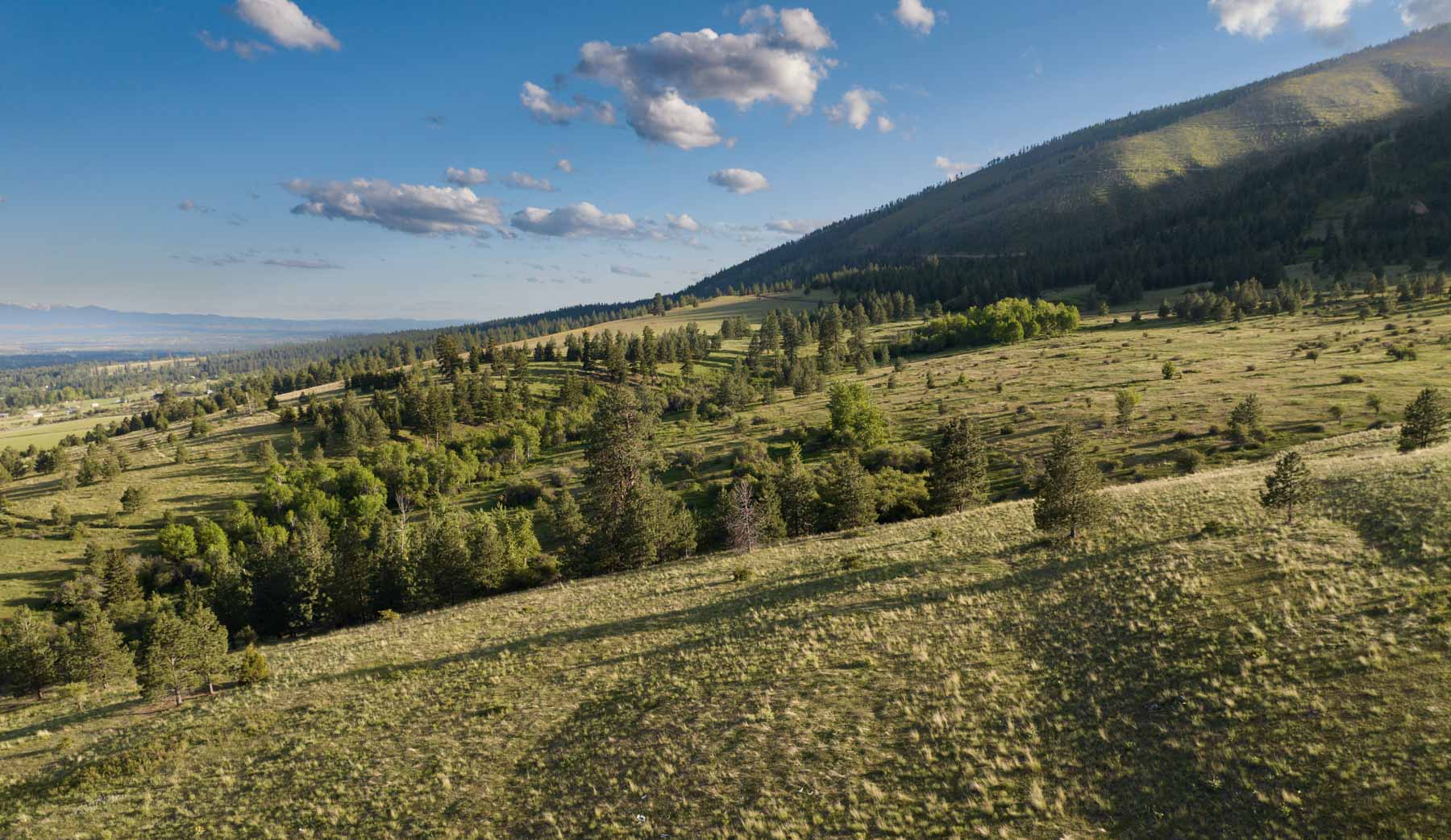 Lolo Ranch property picture 8 of 77