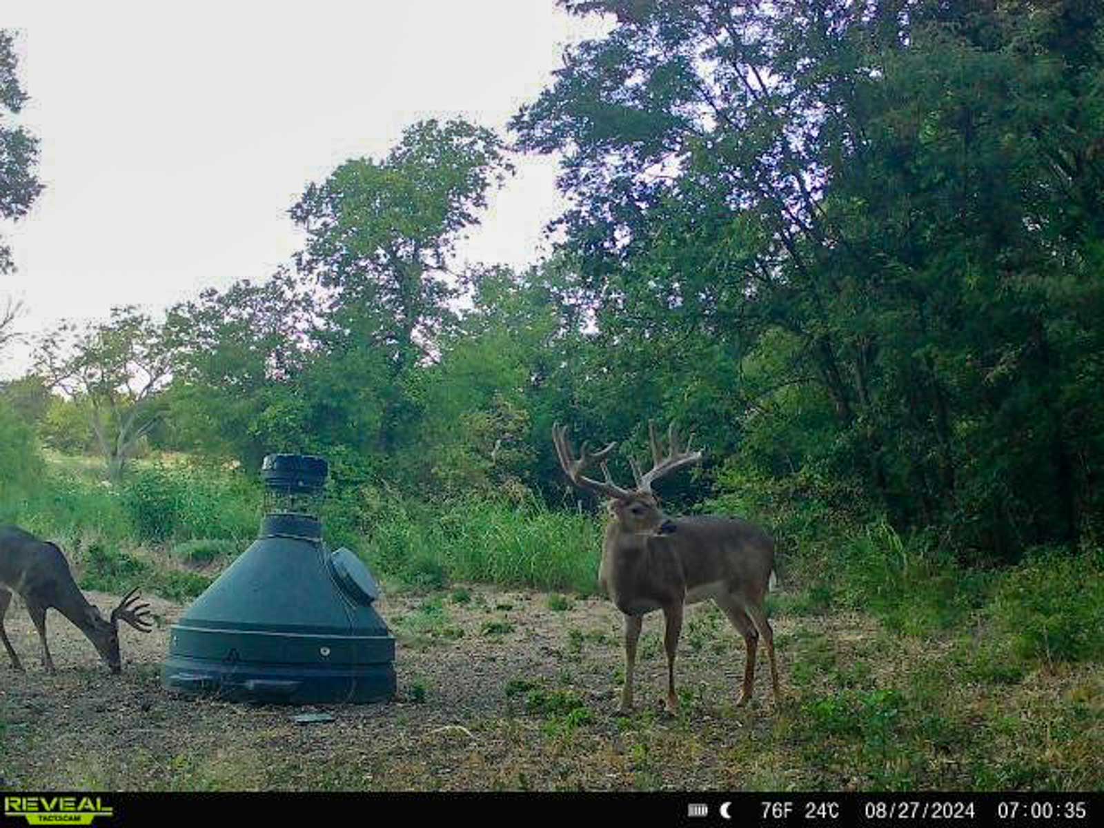 Sadler Ranch property picture 72 of 72
