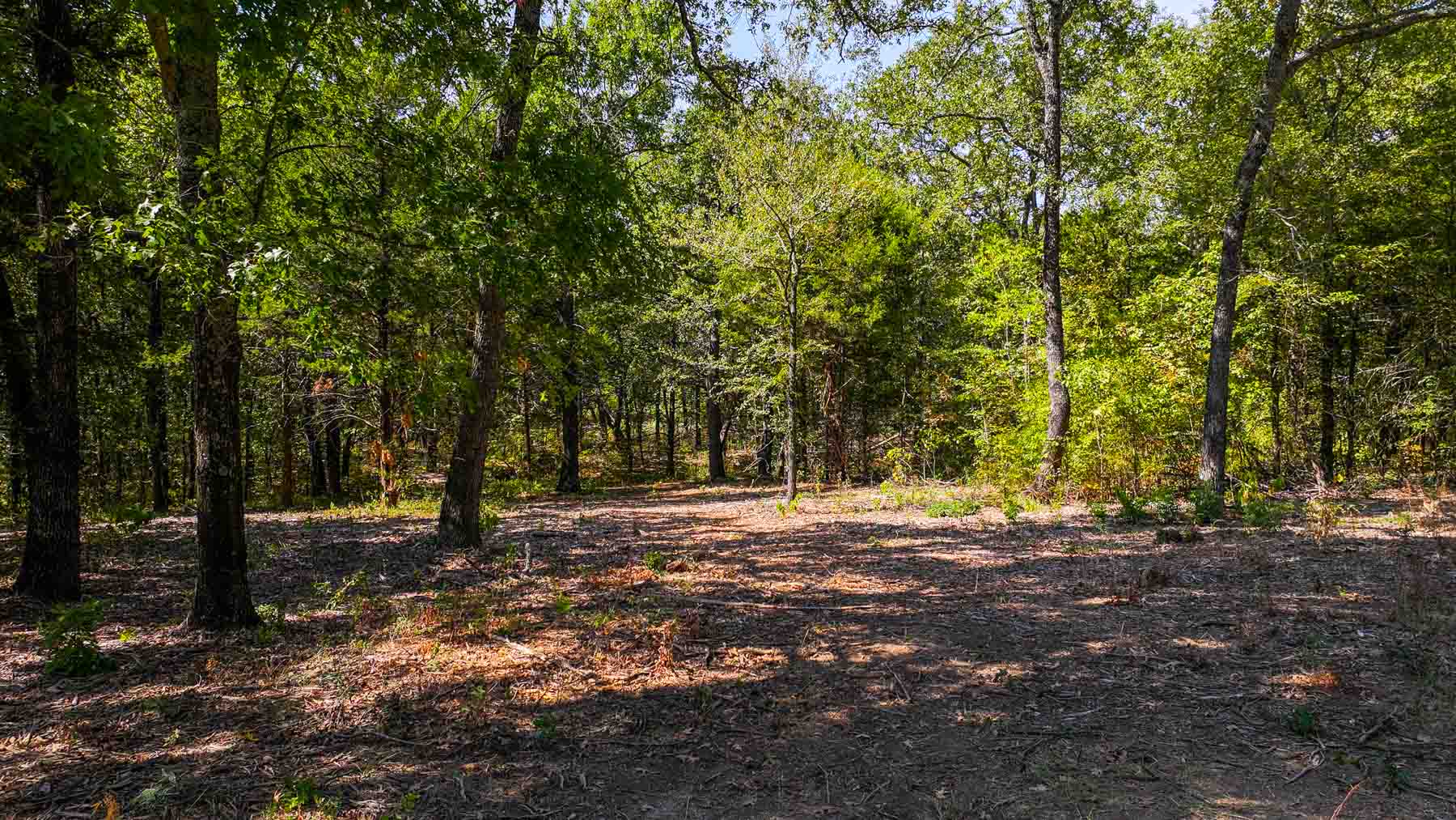 Sadler Ranch property picture 45 of 72