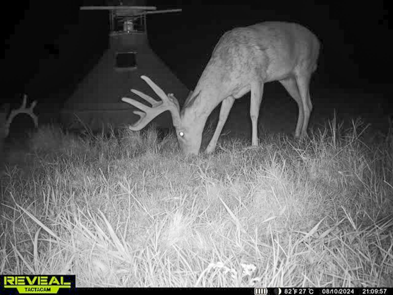 Sadler Ranch property picture 69 of 72