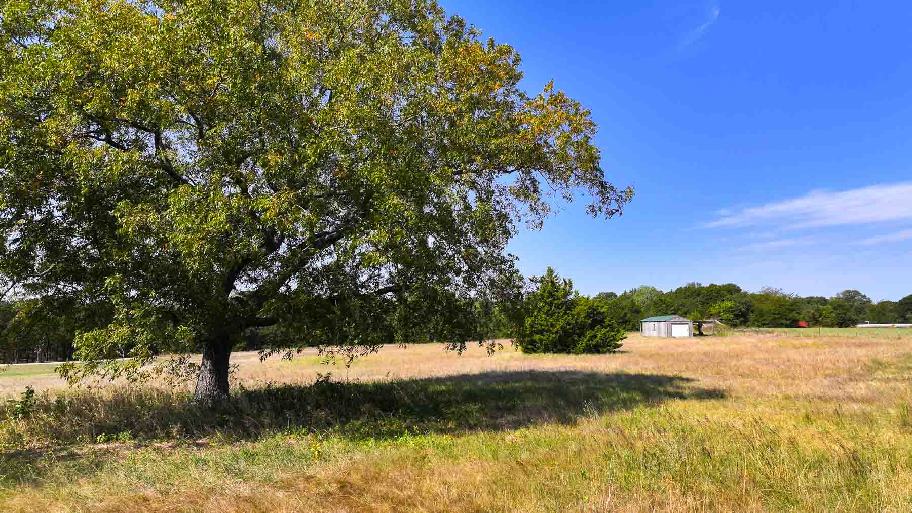Sadler Ranch property picture 41 of 72