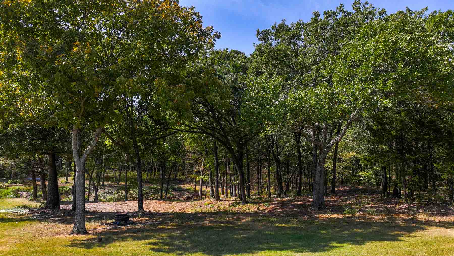 Sadler Ranch property picture 4 of 72