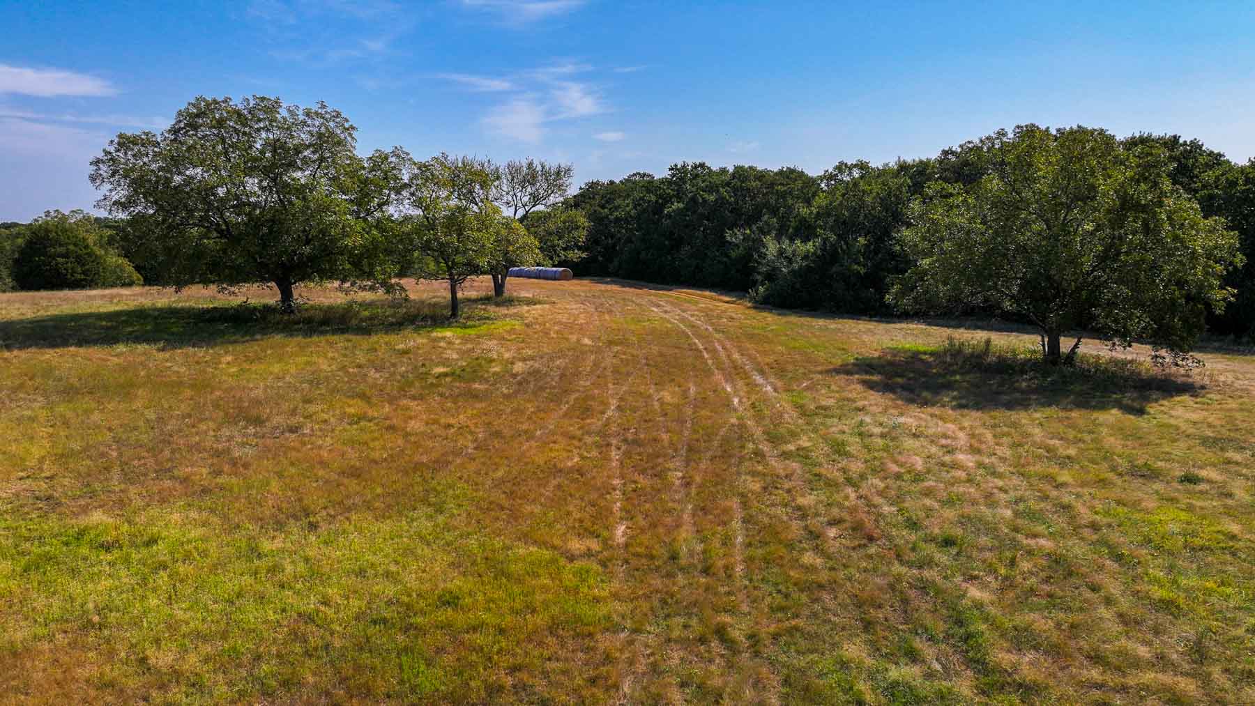 Sadler Ranch property picture 39 of 72