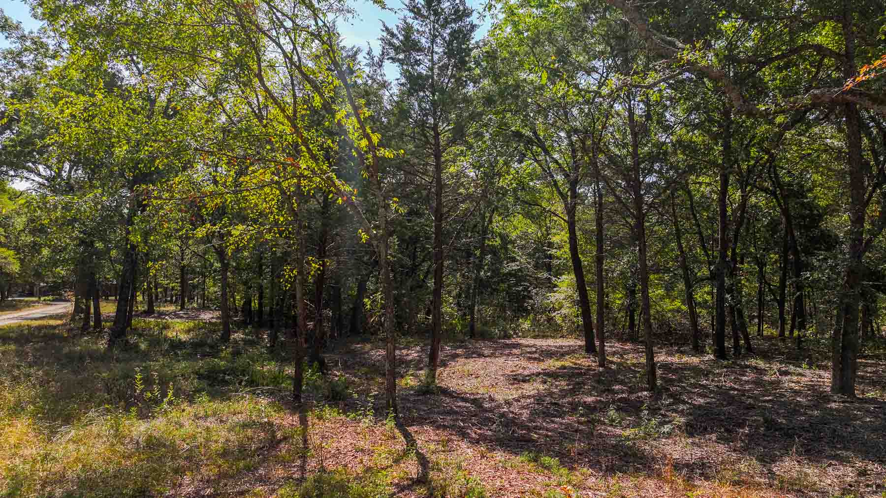 Sadler Ranch property picture 57 of 72