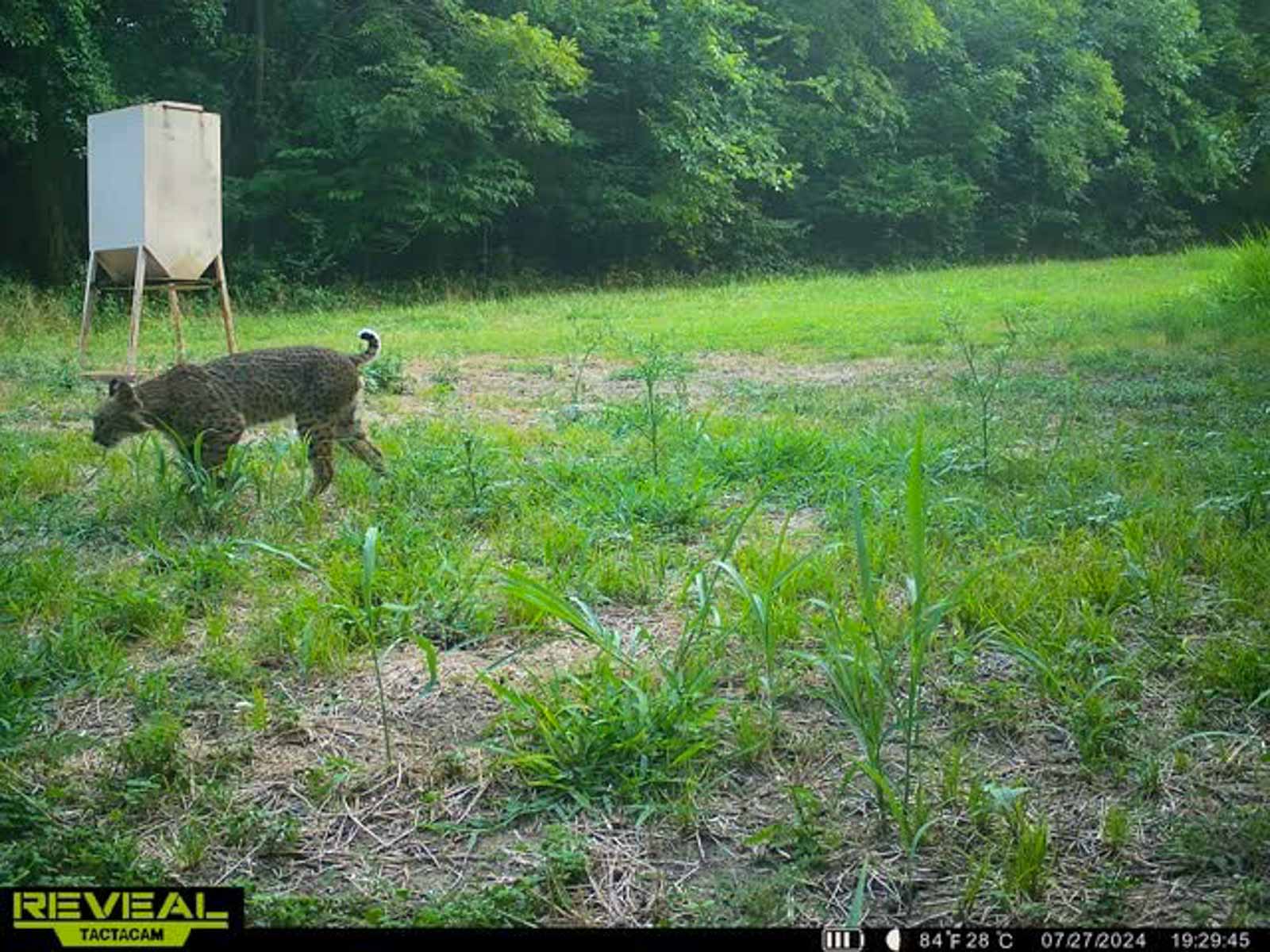 Sadler Ranch property picture 71 of 72