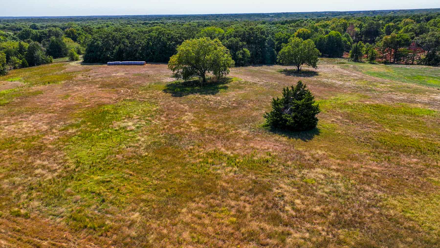 Sadler Ranch property picture 48 of 72